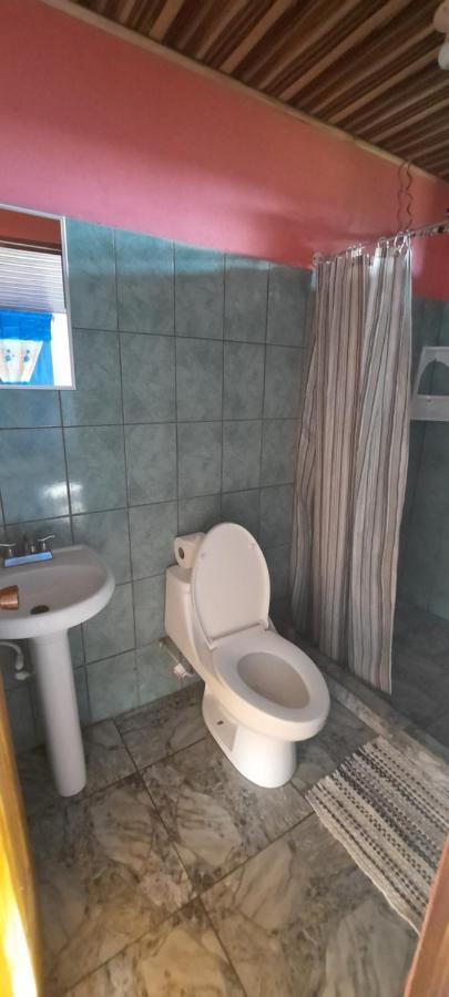 Casa Caribe Bed & Breakfast Tortuguero Exterior photo