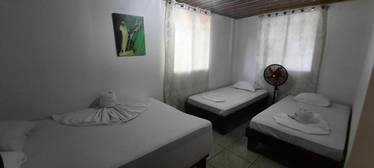 Casa Caribe Bed & Breakfast Tortuguero Exterior photo