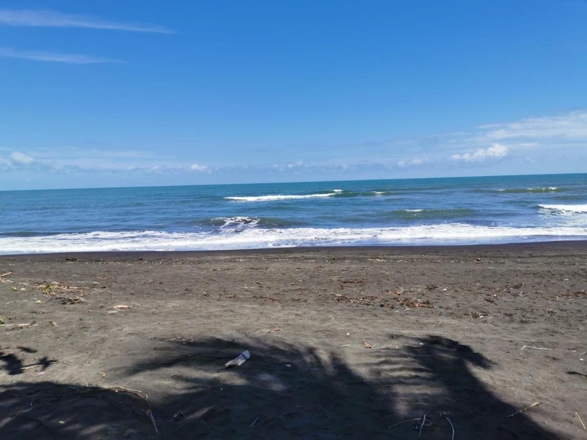 Casa Caribe Bed & Breakfast Tortuguero Exterior photo