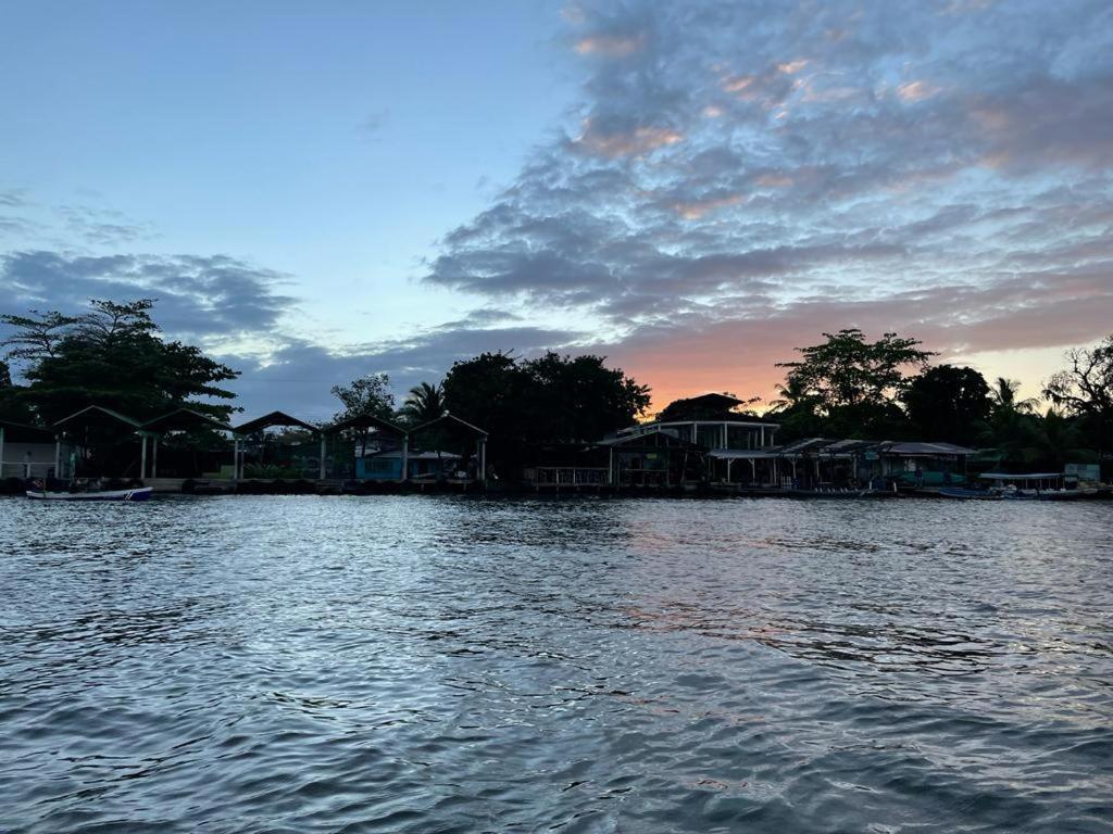 Casa Caribe Bed & Breakfast Tortuguero Exterior photo