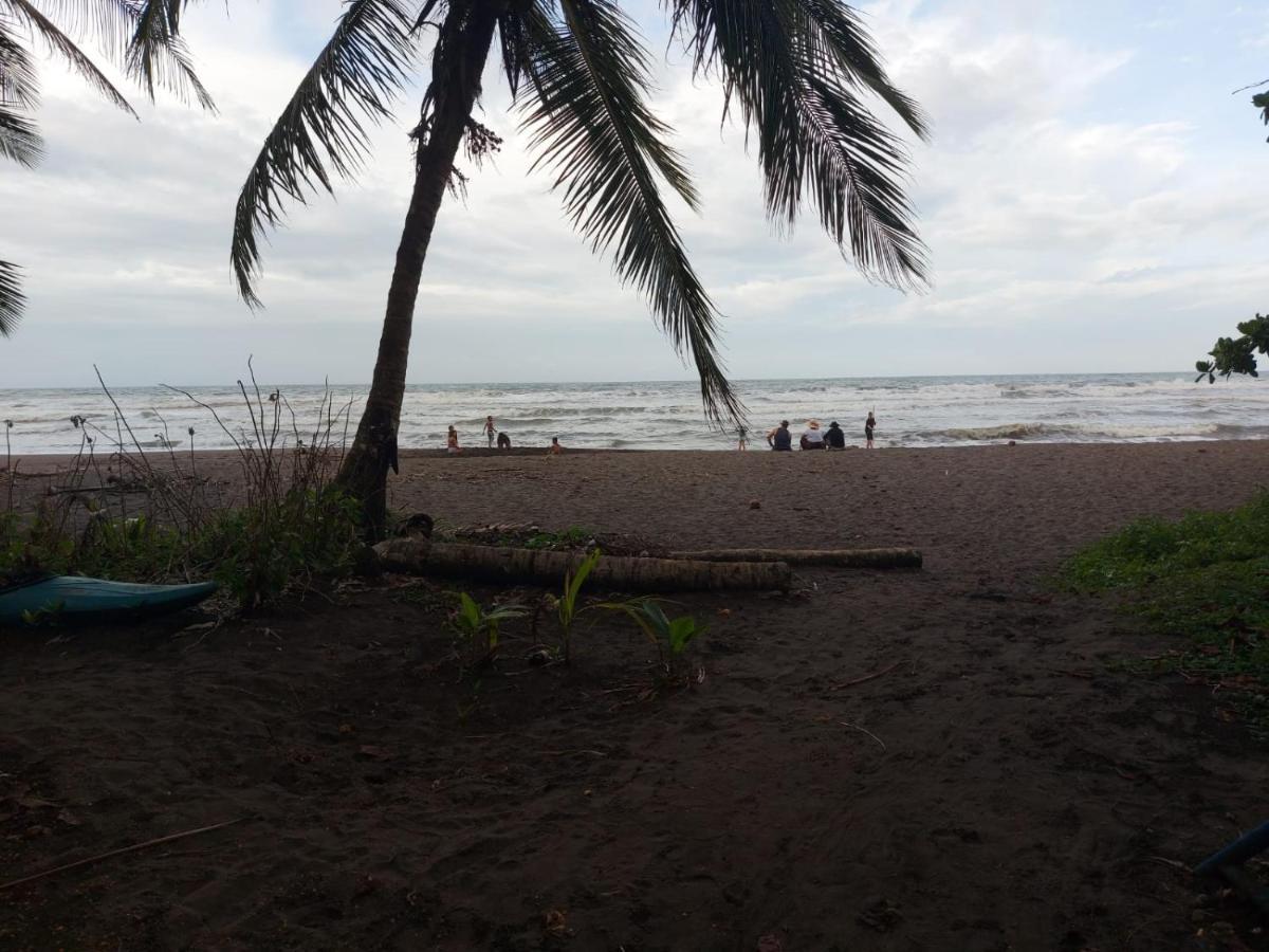 Casa Caribe Bed & Breakfast Tortuguero Exterior photo