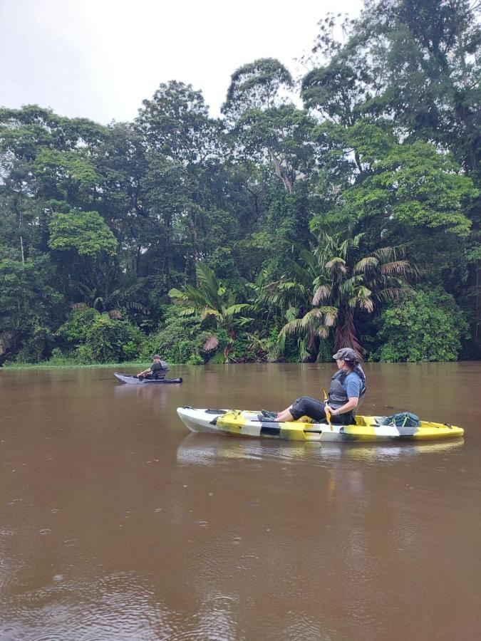 Casa Caribe Bed & Breakfast Tortuguero Exterior photo