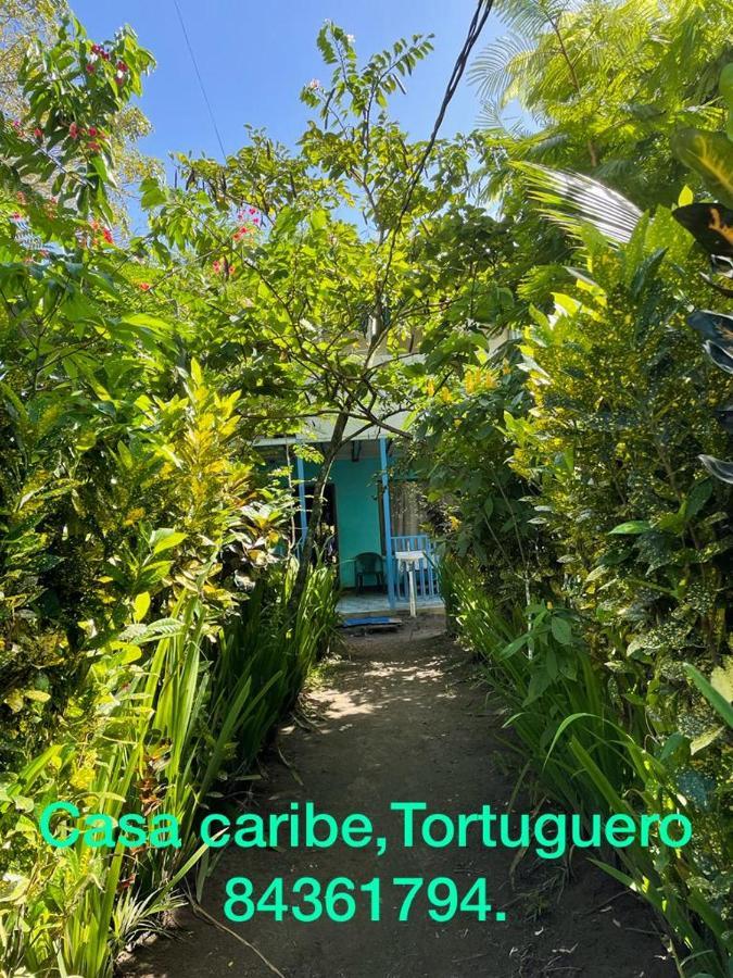 Casa Caribe Bed & Breakfast Tortuguero Exterior photo